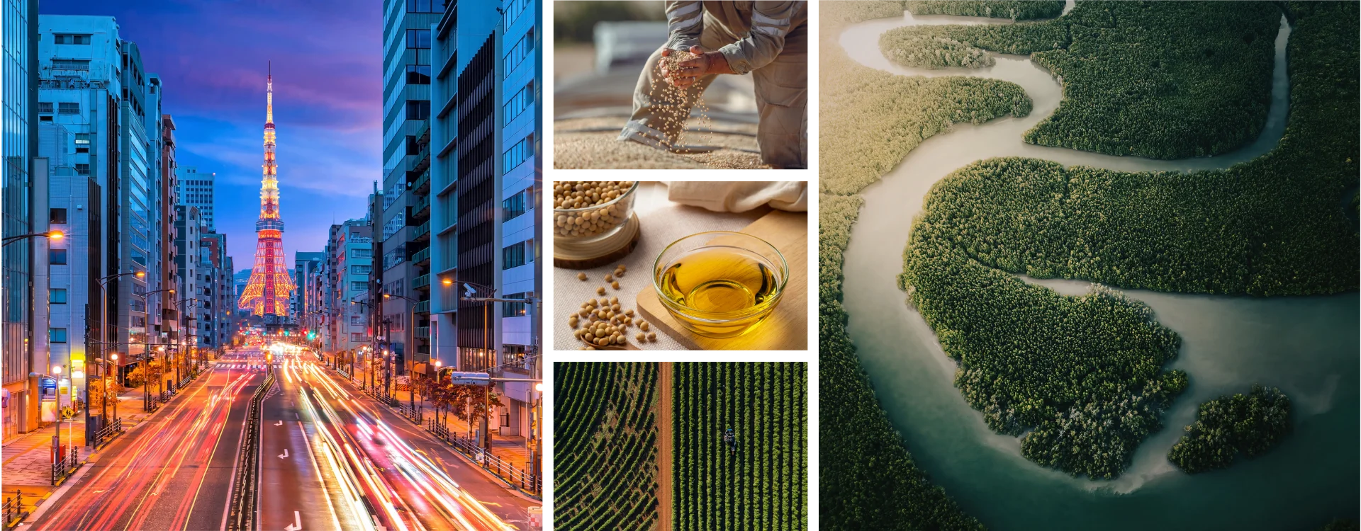 Global Trading Sourcing